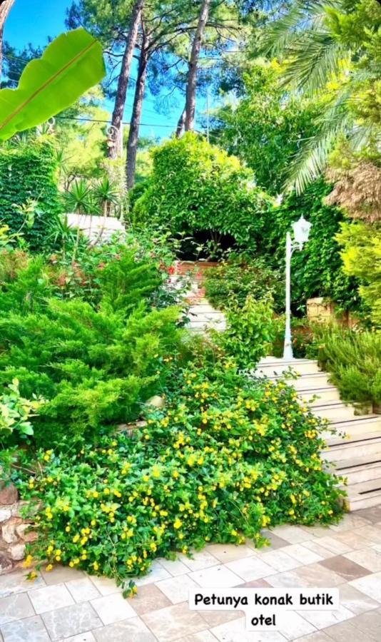 Petunya Konak Boutique Hotel İcmeler Bagian luar foto